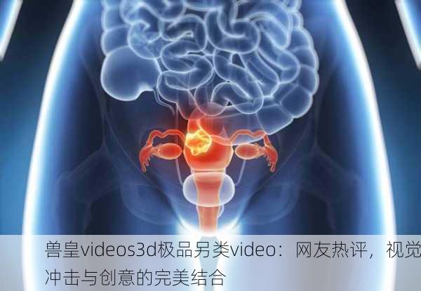 兽皇videos3d极品另类video：网友热评，视觉冲击与创意的完美结合