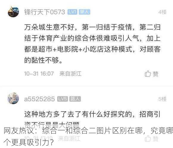 网友热议：综合一和综合二图片区别在哪，究竟哪个更具吸引力？