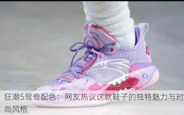 狂潮5鸳鸯配色：网友热议这款鞋子的独特魅力与时尚风格