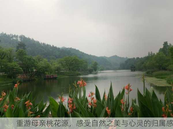 重游母亲桃花源，感受自然之美与心灵的归属感