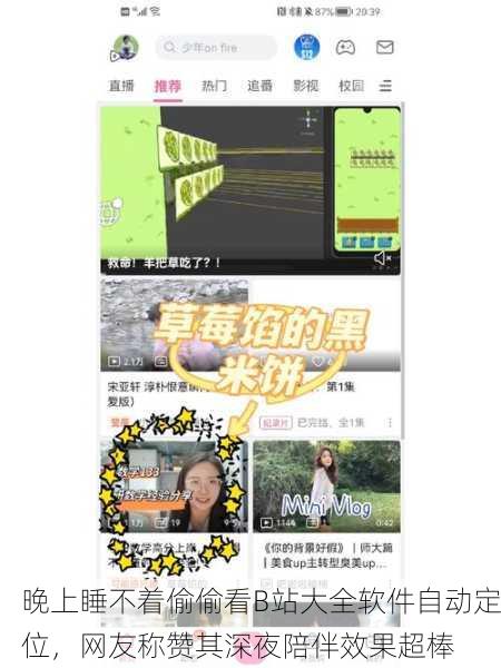 晚上睡不着偷偷看B站大全软件自动定位，网友称赞其深夜陪伴效果超棒