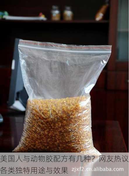 美国人与动物胶配方有几种？网友热议各类独特用途与效果