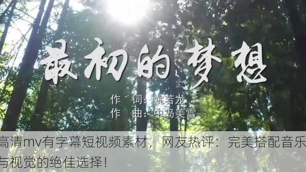 高清mv有字幕短视频素材，网友热评：完美搭配音乐与视觉的绝佳选择！