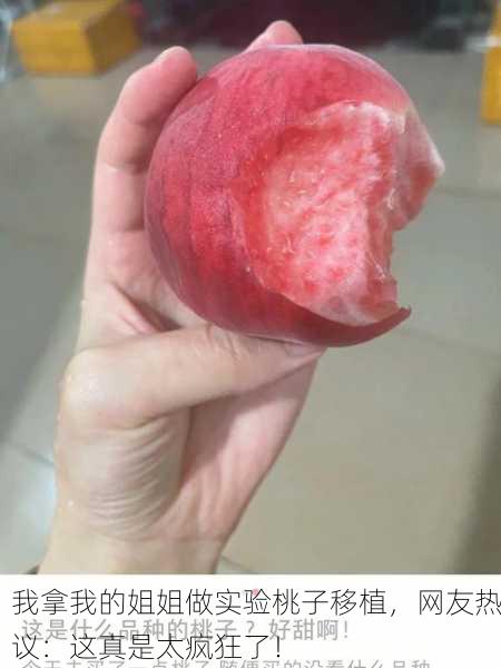 我拿我的姐姐做实验桃子移植，网友热议：这真是太疯狂了！