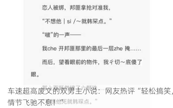 车速超高废文的双男主小说：网友热评“轻松搞笑，情节飞驰不息！”
