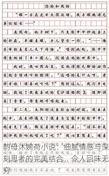 韵母沐婉荷小说：细腻情感与深刻思考的完美结合，令人回味无穷