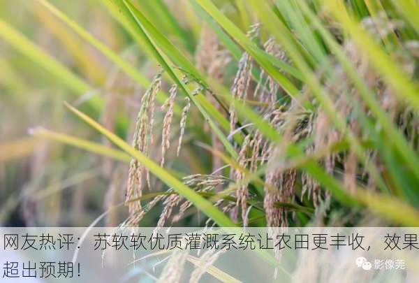 网友热评：苏软软优质灌溉系统让农田更丰收，效果超出预期！