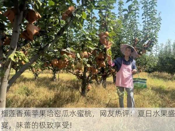 榴莲香蕉苹果哈密瓜水蜜桃，网友热评：夏日水果盛宴，味蕾的极致享受！