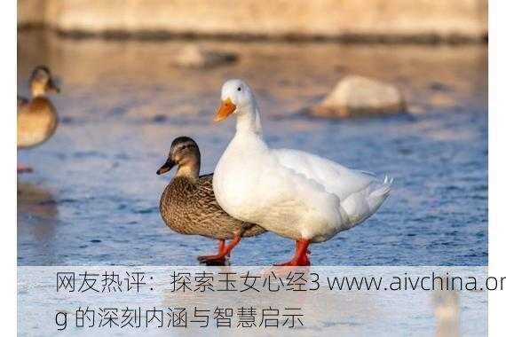 网友热评：探索玉女心经3 www.aivchina.org 的深刻内涵与智慧启示
