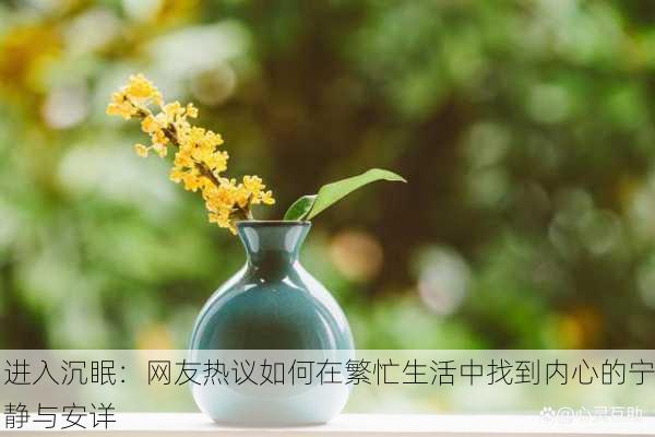进入沉眠：网友热议如何在繁忙生活中找到内心的宁静与安详
