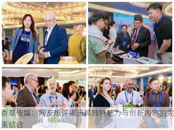 香草传媒：网友热评揭示其独特魅力与创新内容的完美结合
