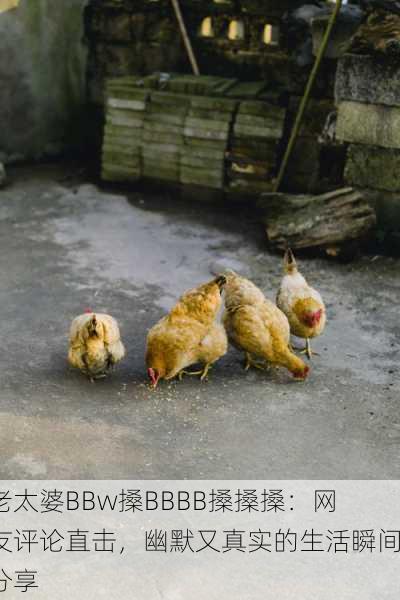 老太婆BBw搡BBBB搡搡搡：网友评论直击，幽默又真实的生活瞬间分享