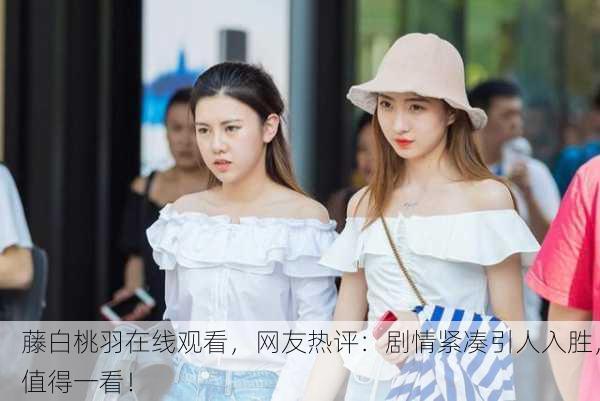 藤白桃羽在线观看，网友热评：剧情紧凑引人入胜，值得一看！