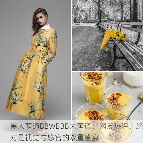 黑人荫道BBWBBB大荫道：网友热评，绝对是视觉与感官的双重盛宴！