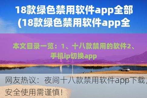 网友热议：夜间十八款禁用软件app下载，安全使用需谨慎！