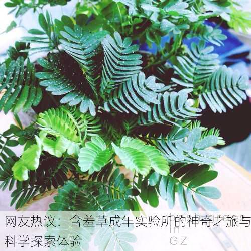 网友热议：含羞草成年实验所的神奇之旅与科学探索体验