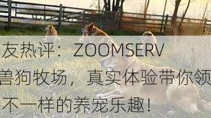 网友热评：ZOOMSERVO兽狗牧场，真实体验带你领略不一样的养宠乐趣！
