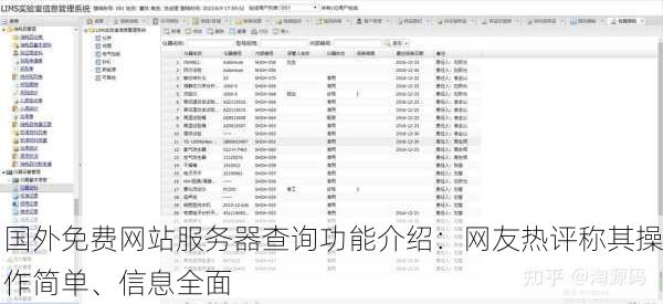 国外免费网站服务器查询功能介绍：网友热评称其操作简单、信息全面