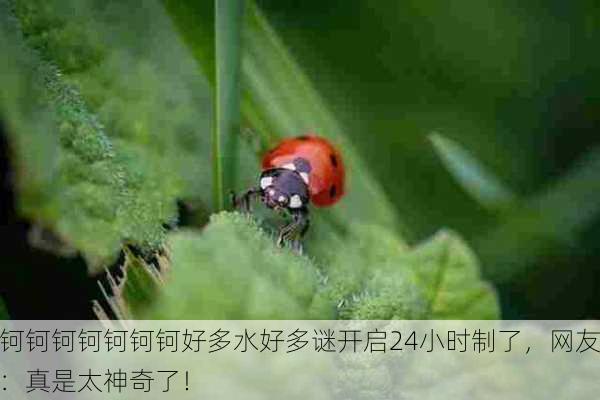 钶钶钶钶钶钶钶好多水好多谜开启24小时制了，网友：真是太神奇了！