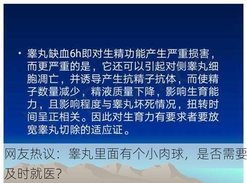 网友热议：睾丸里面有个小肉球，是否需要及时就医？