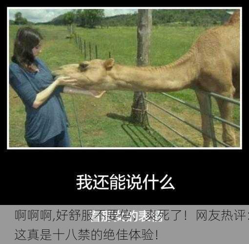 啊啊啊,好舒服不要停，爽死了！网友热评：这真是十八禁的绝佳体验！