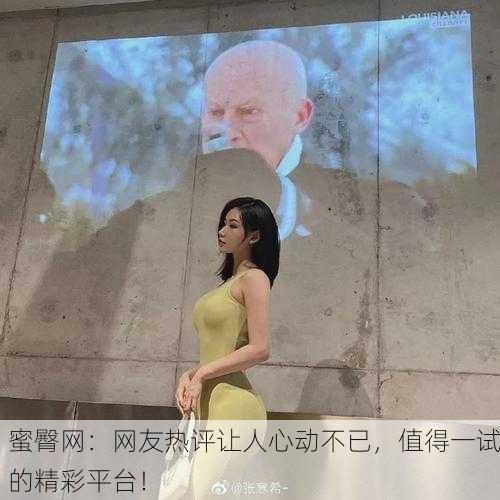 蜜臀网：网友热评让人心动不已，值得一试的精彩平台！