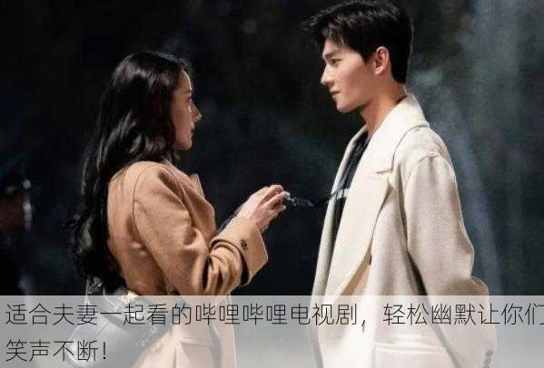 适合夫妻一起看的哔哩哔哩电视剧，轻松幽默让你们笑声不断！