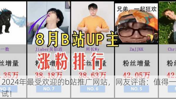 2024年最受欢迎的b站推广网站，网友评语：值得一试！