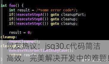 网友热议：jsq30.c代码简洁高效，完美解决开发中的难题！
