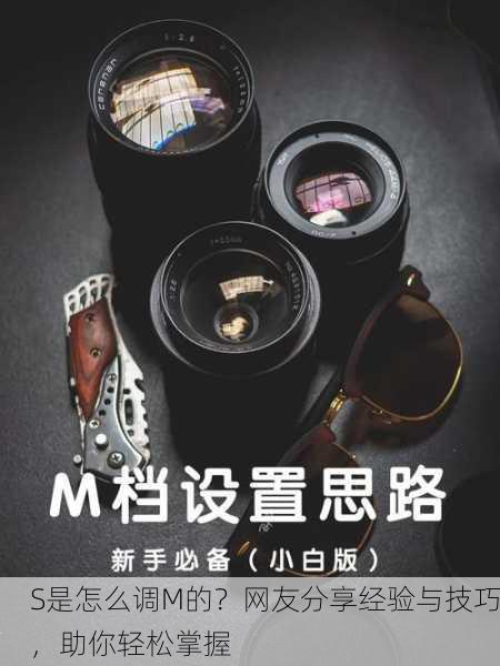 S是怎么调M的？网友分享经验与技巧，助你轻松掌握