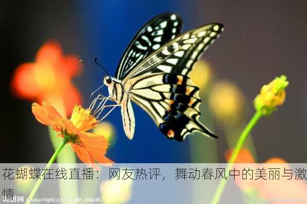 花蝴蝶在线直播：网友热评，舞动春风中的美丽与激情