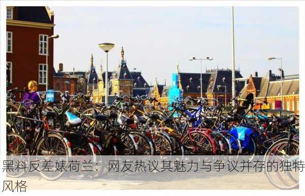 黑料反差婊荷兰：网友热议其魅力与争议并存的独特风格