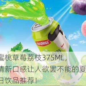蜜桃草莓荔枝375ML，清新口感让人欲罢不能的夏日饮品推荐！