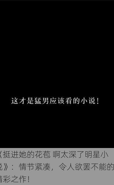 《挺进她的花苞 啊太深了明星小说》：情节紧凑，令人欲罢不能的精彩之作！
