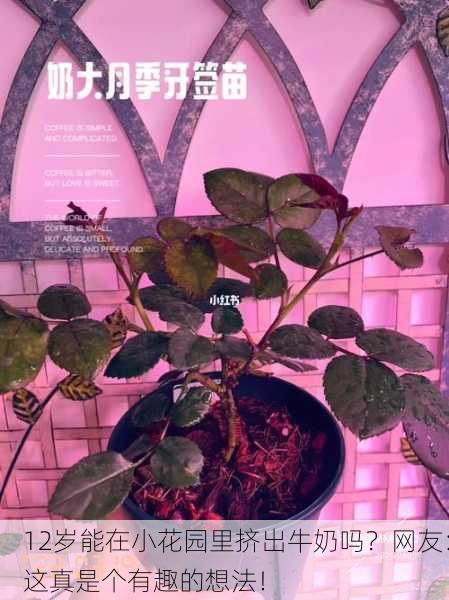 12岁能在小花园里挤出牛奶吗？网友：这真是个有趣的想法！
