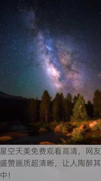 星空天美免费观看高清，网友盛赞画质超清晰，让人陶醉其中！