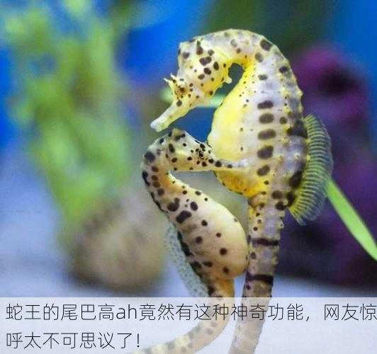蛇王的尾巴高ah竟然有这种神奇功能，网友惊呼太不可思议了！