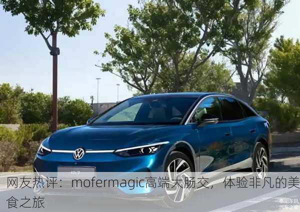 网友热评：mofermagic高端大肠交，体验非凡的美食之旅