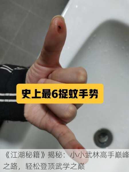 《江湖秘籍》揭秘：小小武林高手巅峰之路，轻松登顶武学之巅