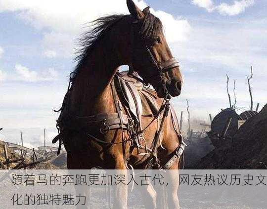 随着马的奔跑更加深入古代，网友热议历史文化的独特魅力