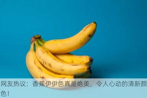 网友热议：香蕉伊伊色真是绝美，令人心动的清新颜色！