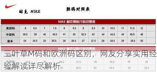 三叶草M码和欧洲码区别，网友分享实用经验解读详尽解析