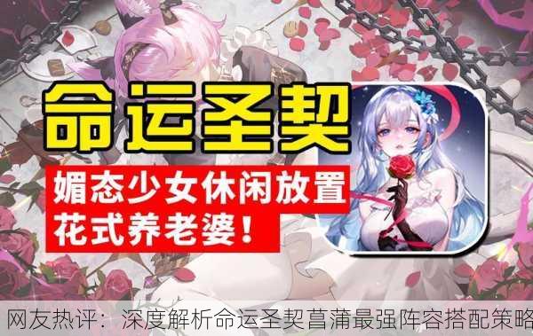网友热评：深度解析命运圣契菖蒲最强阵容搭配策略