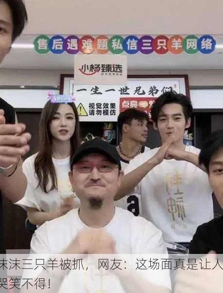 沫沫三只羊被抓，网友：这场面真是让人哭笑不得！