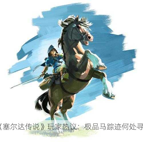 《塞尔达传说》玩家热议：极品马踪迹何处寻？