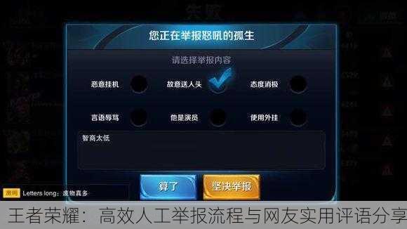 王者荣耀：高效人工举报流程与网友实用评语分享