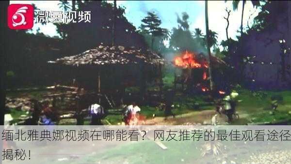 缅北雅典娜视频在哪能看？网友推荐的最佳观看途径揭秘！