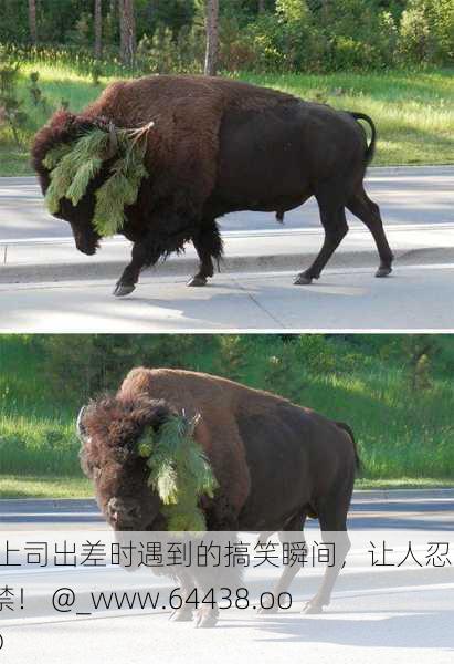j和钕上司出差时遇到的搞笑瞬间，让人忍俊不禁！ @_www.64438.ooo @@