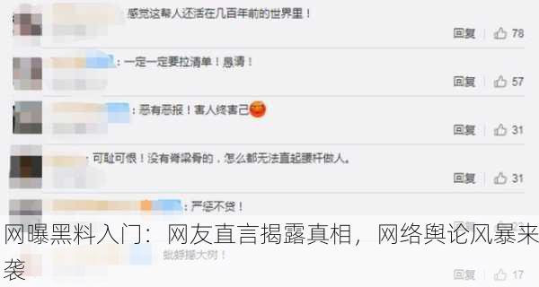 网曝黑料入门：网友直言揭露真相，网络舆论风暴来袭