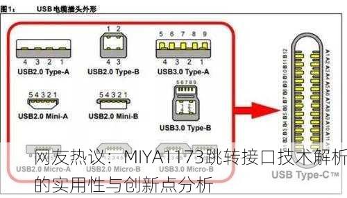 网友热议：MIYA1173跳转接口技术解析的实用性与创新点分析